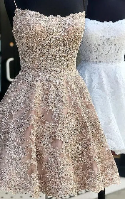 Lace Homecoming Dresses,Short Prom Dresses,Dance Dress BP352